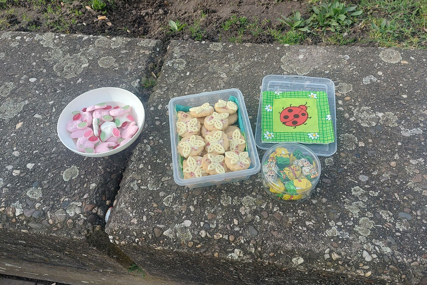 Kekse zum Frühlingsanfang und Tag des Glücks
