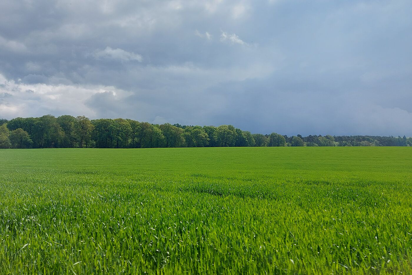 Dunkle Wolken am Himmel, aber trocken