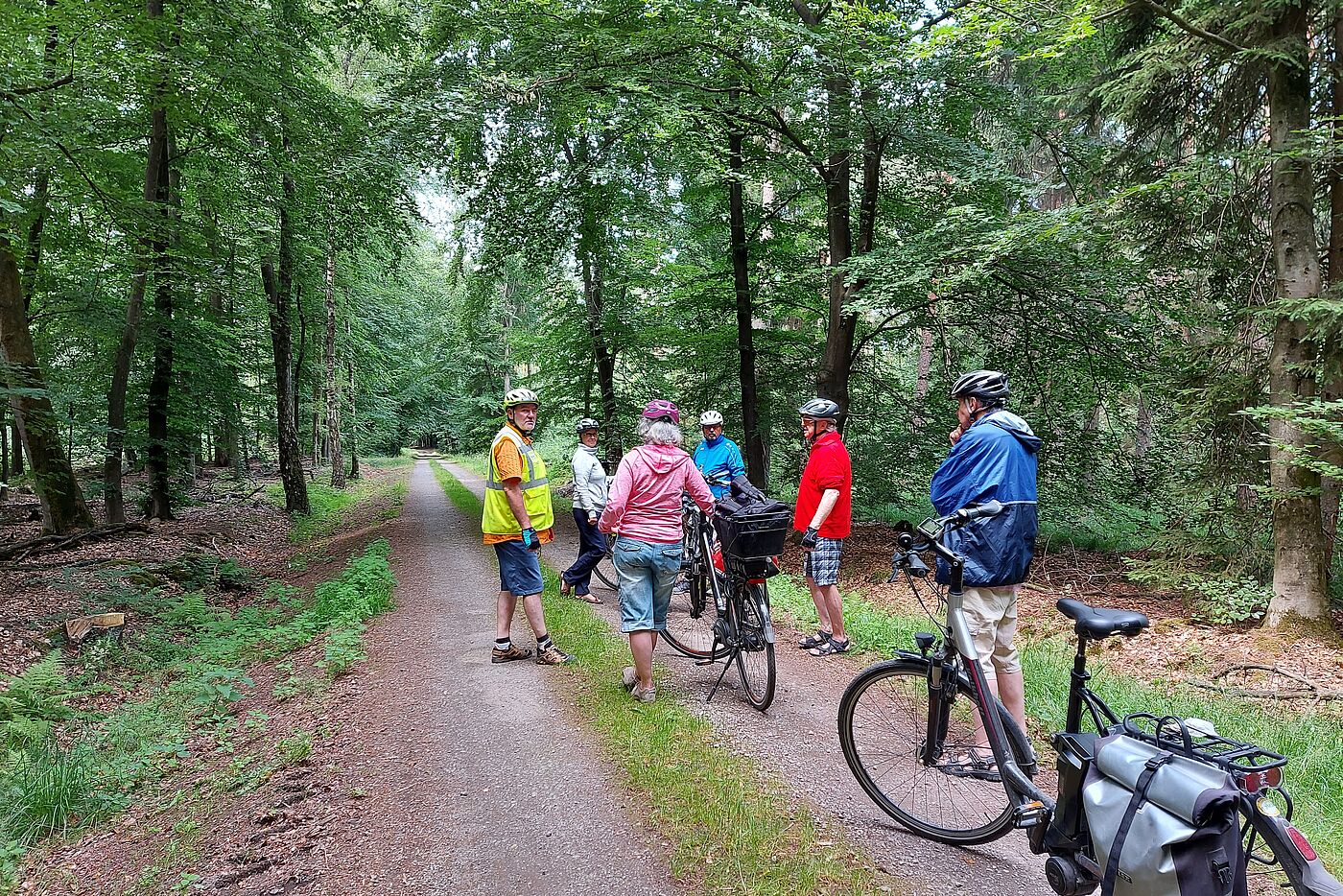 Pause im Dämmerwald
