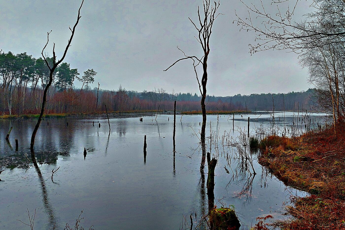 Wassernachschub von oben