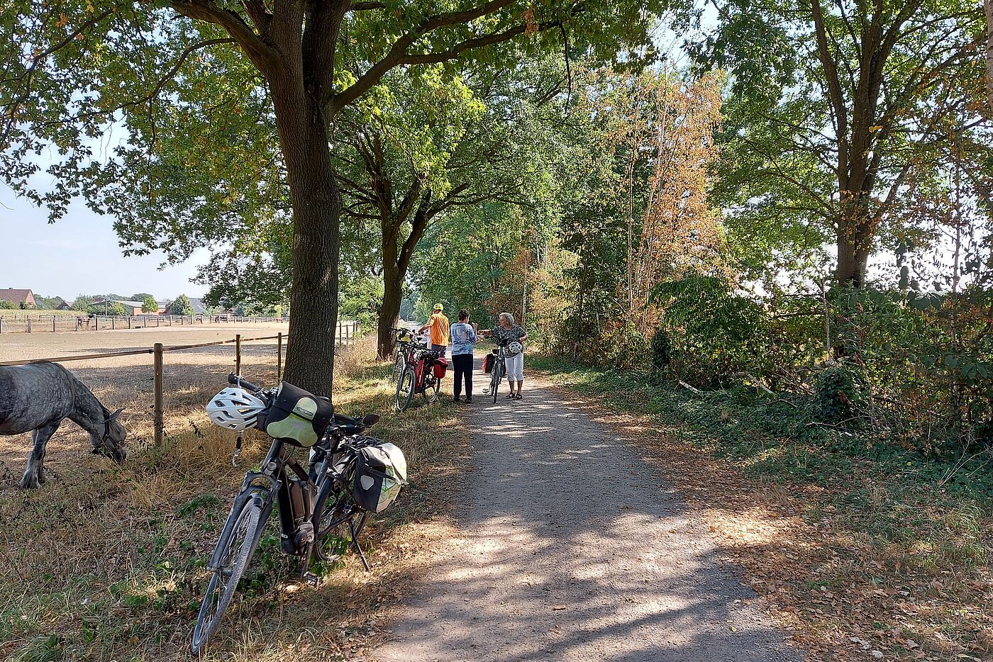 Pause an der Pferdekoppel