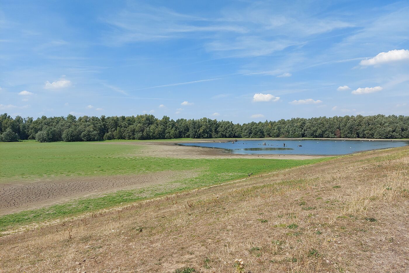auch hier fehlt Wasser