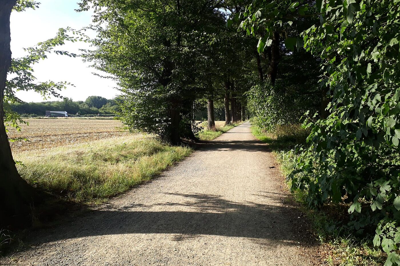 Autobahn