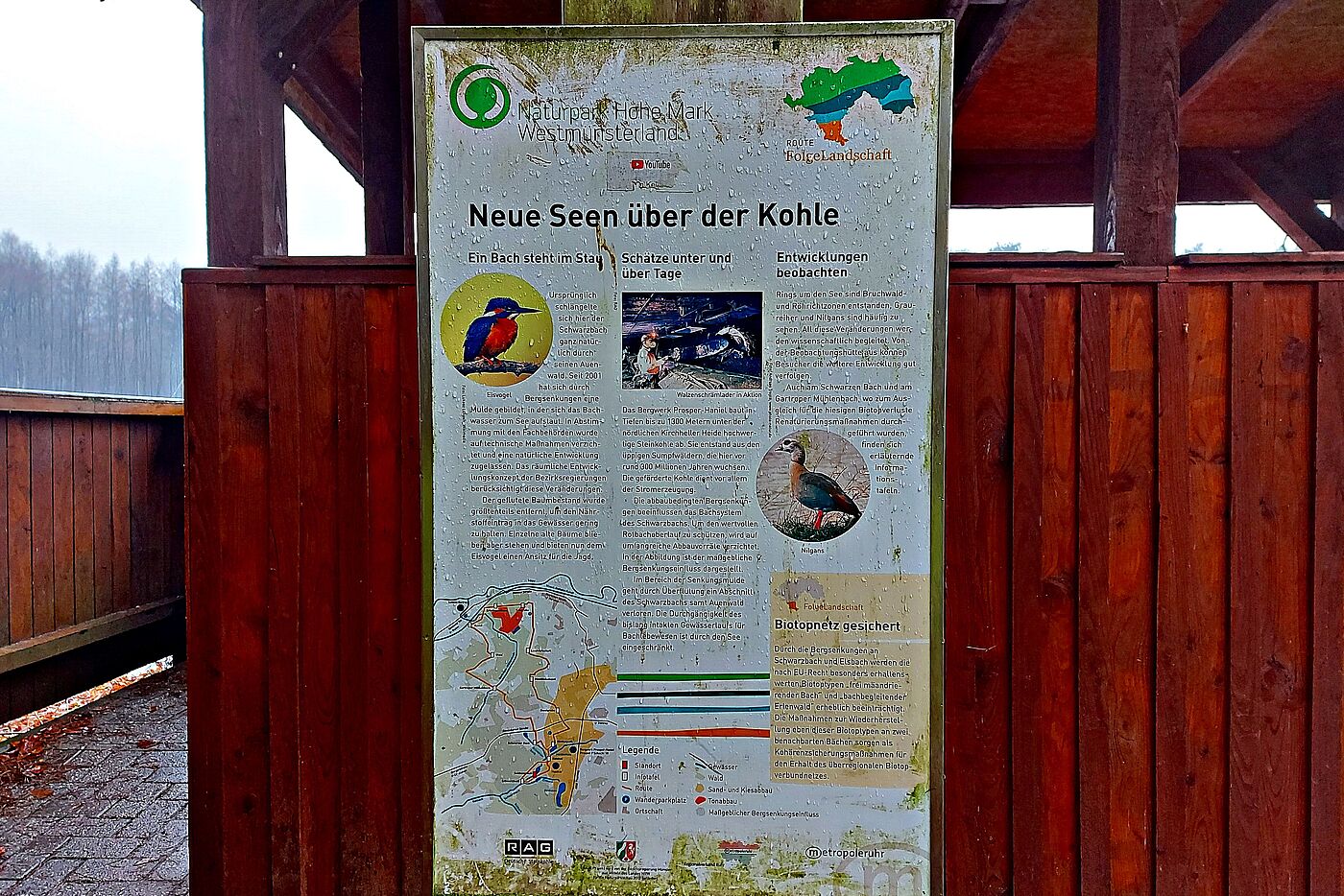 Infotafel an der Beobachtungshütte